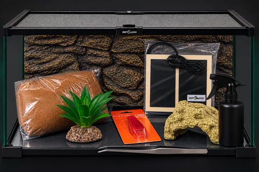 Smooth Knob-Tailed Gecko Enclosure Kit